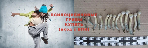 кокс Лагань