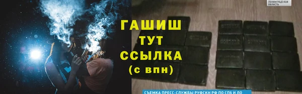 шишки Лабытнанги