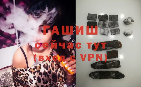 шишки Лабытнанги