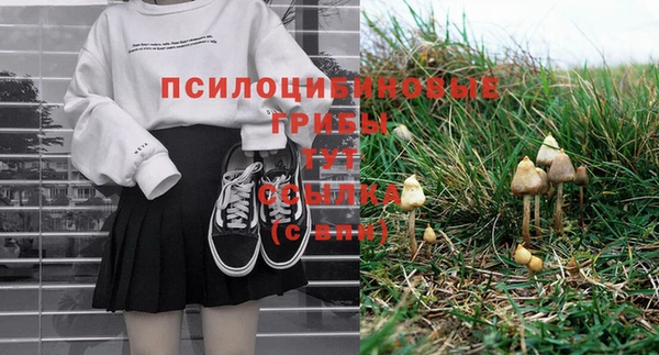 марки lsd Краснослободск