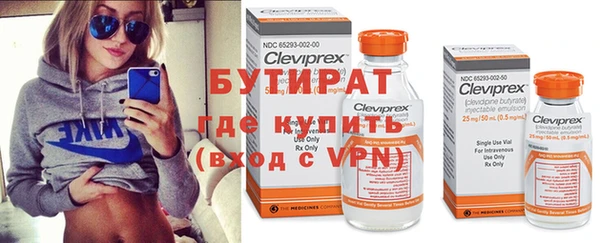 шишки Бикин