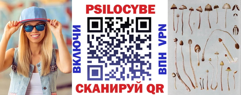 купить  сайты  Куровское  Псилоцибиновые грибы Psilocybine cubensis 